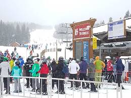 Water House on Main Street