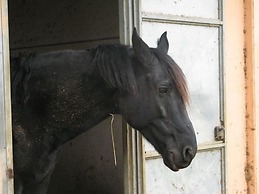 Le Murelle Country Resort