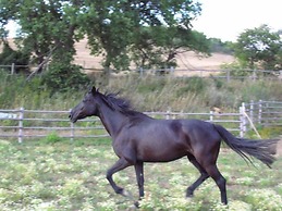 Le Murelle Country Resort