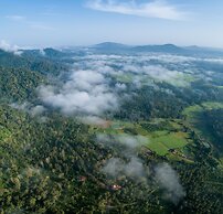 Amritara Ambatty Greens Resort