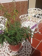 Hotel Mediterráneo Quito