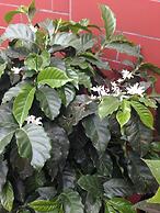 Hotel Mediterráneo Quito