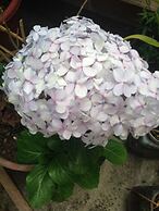 Hotel Mediterráneo Quito