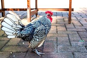 Kleinkaap Boutique Hotel