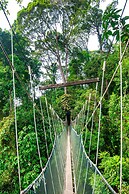 Sutera Sanctuary Lodges at Poring Hot Springs