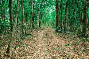 Canzi Cataratas Hotel