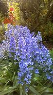 Newburgh House Bed & Breakfast