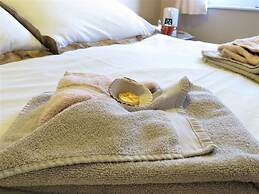 The Haldon Guest House