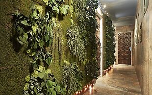 Le Rêve De Naim - Roma