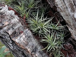 Hostal Residència Catalina Vera