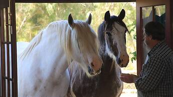 Hatchers Richmond Manor