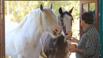 Hatchers Richmond Manor