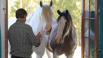 Hatchers Richmond Manor