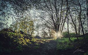 The Elks Head – Whitfield