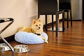 Las Suites Campos Eliseos