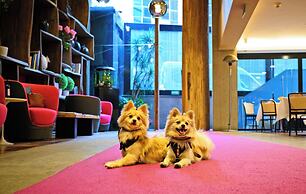 Las Suites Campos Eliseos