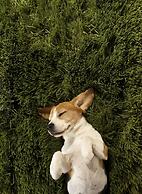 Element Miami International Airport