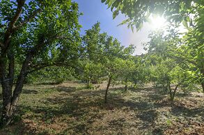Agallis Corfu Village Residence