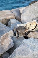 Grand Mercure Apartments Magnetic Island