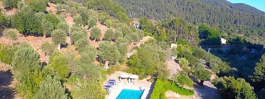 Alfabia Nou Agroturismo