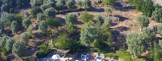 Alfabia Nou Agroturismo