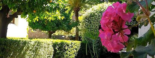 Alfabia Nou Agroturismo