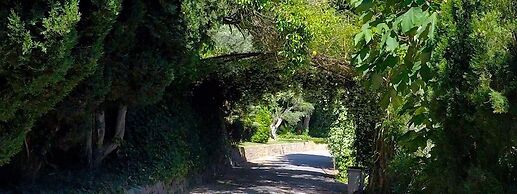 Alfabia Nou Agroturismo