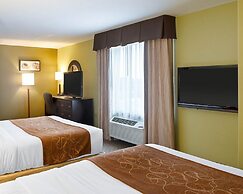 Comfort Suites Harvey - New Orleans West