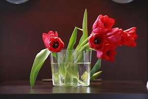 Hotel Massimo Mishima