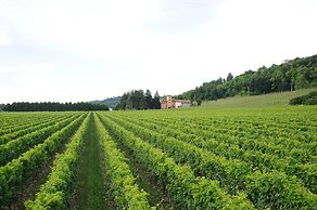 Villa Clementina, Prosecco Country Hotel