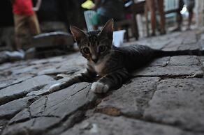 Koyevi Olympos Countryhouse