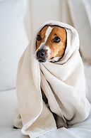 Golden Tulip President Hammamet