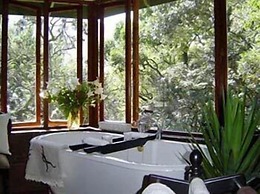 Forest Creek Lodge & Spa