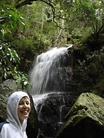 Forest Creek Lodge & Spa