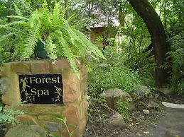 Forest Creek Lodge & Spa