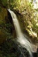 Forest Creek Lodge & Spa