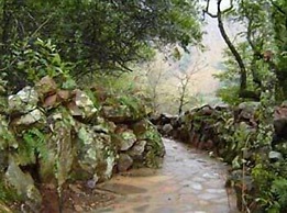 Forest Creek Lodge & Spa