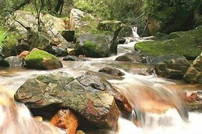 Forest Creek Lodge & Spa