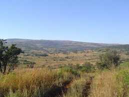 Forest Creek Lodge & Spa