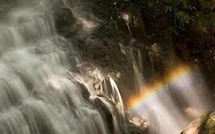 Forest Creek Lodge & Spa