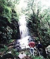 Forest Creek Lodge & Spa