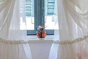 Studio Apartments Stradun