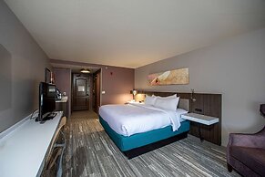Hilton Garden Inn Rapid City