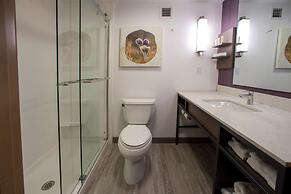 Hilton Garden Inn Rapid City