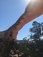 Prospector Motor Lodge