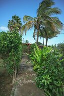 Mana Nui Inn