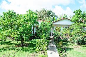 Mana Nui Inn