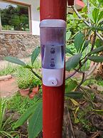 Mana Nui Inn