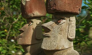 Mana Nui Inn