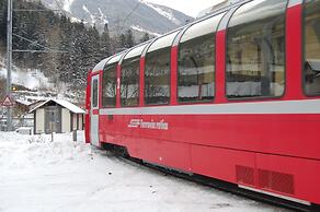 Hotel delle Alpi